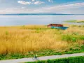 Rowerzysta mija opuszczony statek na brzegu jeziora Dąbie, otoczony złotymi trzcinami i błękitnym niebem.