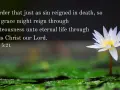 A white water lily blooms, symbolizing justification by faith and eternal life through Jesus Christ, as Romans 5:21 states.
