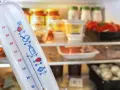 Jaka temperatura w lodówce? Klucz do świeżości i niższych rachunków