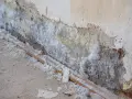 Mur dégradé par l'humidité, avec des efflorescences de salpêtre sur le carrelage et le mur.