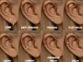Osiem przykładów kolczyków w różnych miejscach ucha: lobe, anti-tragus, tragus, flat helix, daith, conch, forward helix i helix. Drugi kolczyk w uchu może być subtelny lub efektowny.
