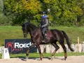 Un cavalier sur un cheval noir, en plein mouvement, démontrant une belle locomotion.