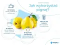 Pigwa: idealny dodatek do herbaty, syrop na zimę, sok, nalewka, dżem. Dowiedz się, co to pigwa i jak ją wykorzystać.