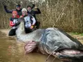 Czterech wędkarzy świętuje przy gigantycznym sumie, który może być rekordem świata suma.