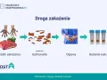 Droga zakażenia salmonellą: od surowego mięsa i brudnych rąk, przez pałeczki Salmonella, objawy bólu brzucha, po badanie kału.