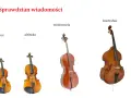 Skrzypce, altówka, wiolonczela i kontrabas – cztery instrumenty smyczkowe, każdy o innym rozmiarze i brzmieniu.