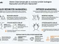Infografik vergleicht erblichen und **diffusen Haarausfall**. Ersterer ist genetisch bedingt, letzterer eine Reaktion auf Stress, Hormone etc.