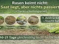 Rasen keimt nicht: Saat liegt, aber nichts passiert? Prüfe Bodenkontakt, Feuchtigkeit & Verdichtung. Andrücken & feucht halten!