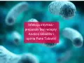 Infekcja intymna w ciąży - analiza preparatów bez recepty i opinia Pana Tabletki. Bakterie w tle.