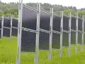 Rzędy wydajnych paneli fotowoltaicznych na tle zielonego lasu. Instalacja na łące, gotowa do produkcji czystej energii.