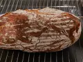 Frisch gebackenes Sauerteigbrot mit knuspriger Kruste auf einem Rost. Perfekt, um Hefe durch Sauerteig zu ersetzen!