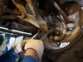 Mechanik dokręca śrubę w zawieszeniu samochodu. Widać elementy układu kierowniczego i amortyzator.