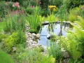 Ein idyllischer kleiner gartenteich ideen mit üppiger Bepflanzung, bunten Blumen und Fischen.