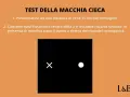 Test della macchia cieca: fissa la X, chiudi l'occhio sinistro. Il punto a destra del riquadro nero potrebbe scomparire, come se fosse vedere ombrato da un occhio.