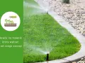 Jaki nawóz na rozkrzewienie trawy? Odkryj skuteczne rozwiązania