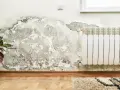 Grzyb na ścianie poczatek. Wilgoć niszczy tynk obok białego grzejnika i gniazdka elektrycznego.