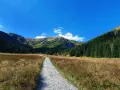 Kamienista ścieżka prowadzi przez trawiaste hale w kierunku gór. Szlak na Halę Kondratową w Tatrach.