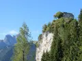 Burgruine Falkenstein thront auf Felsklippe, umgeben von Nadelbäumen. Perfekt für eine Wanderung mit Bergblick.