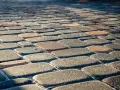 Jak usunąć olej z kostki brukowej: skuteczne metody i porady