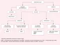 Schemat diagnostyczny torbieli nerek: od pojedynczej torbieli do wielotorbielowatości, uwzględniający objawy i skalę Bosniaka.
