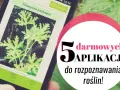 Aplikacje do rozpoznawania roślin: darmowe czy płatne? Wybierz idealną!