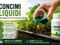 Versando un concime liquido verde in un tubo per irrigazione, per una nutrizione efficiente delle piante.