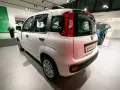 Biały Fiat Panda stoi w salonie samochodowym obok niebieskiego Fiata.