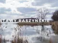 Rezerwat Przyrody Stawy Raszyńskie: Odkryj jego tajemnice i bogactwo fauny