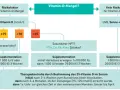 Dekristol bei Osteoporose auf Kassenrezept: Voraussetzungen und Tipps
