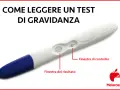 Test di gravidanza positivo con due linee visibili. Indicazioni su come leggere il risultato.