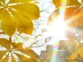 Vitamin D Sonne: So wichtig ist die richtige Sonnenexposition für Ihre Gesundheit