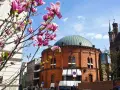 Planetarium Toruń: Jak zaplanować wizytę? Seanse, bilety, wystawy