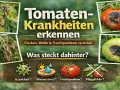 Tomaten-Krankheiten erkennen: Flecken, Welke & Fruchtprobleme verstehen. Was steckt dahinter? Krankheit, Wasserstress, Fruchtproblem oder Pflegefehler?