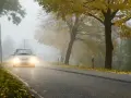 Auto fährt durch dichten Nebel, wann Nebelscheinwerfer unerlässlich sind. Herbstlaub liegt am Straßenrand.