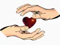 Zwei Hände reichen sich ein Herz. Ein Symbol der Liebe, wie in Psalm 139,5 beschrieben: "Du umschließt mich von allen Seiten.