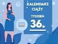 Kobieta w 36. tygodniu ciąży, z brzuszkiem i kalendarzem. Czas na przygotowania do porodu!