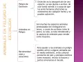 Mapa mental sobre animales en peligro de extinción, sus causas y soluciones.