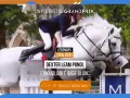 Un cavalier et son cheval blanc, Dexter Leam Pondi, franchissent un obstacle. Podcast "Légendes Cavaliers".