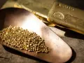 Piccoli granelli scintillanti di oro riciclato riposano in una paletta di rame, accanto a lingotti dorati.