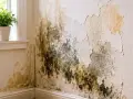 La pintura se cae de la pared por humedad, formando manchas oscuras y descamándose.