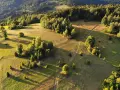 Malownicze wzgórza i lasy, idealne do odkrywania, co zwiedzić w Żywcu. Długie cienie i złote światło podkreślają piękno krajobrazu.