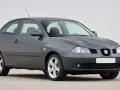 Grauer Seat Ibiza, Baujahr 2005, mit leichten Gebrauchsspuren. Ein typisches Modell, das manchmal Seat Ibiza Probleme aufweist.