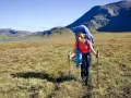 Frau wandert mit großem Rucksack und Stöcken über einen grasbewachsenen Hügel. Im Hintergrund ein See und Berge. Ein Abenteuer auf dem Arctic Circle Trail.