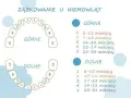Ile rośnie ząb? Poznaj czas wyrzynania i objawy bólu zębów