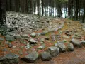 Kamienne kręgi w lesie, otoczone sosnowymi igłami i mchem. Stare kamienie tworzą tajemniczy krąg.
