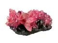 Cristalli di rodocrosite rosa brillante su matrice scura. Le sue proprietà sono note per stimolare amore e compassione.