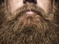 Primer plano de unas barbas hipster voluminosas y doradas, con un bigote tupido sobre unos labios entreabiertos.