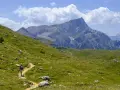 Escursionista su sentiero erboso, con imponente gruppo montuoso delle Dolomiti sullo sfondo.