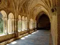Sunlight streams through arched cloisters, hinting at the diverse types of monasteries and their serene courtyards.