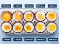 Eier kochen im Topf: rohe Eier bis zu perfekt gekochte Eier nach 15 Minuten. Die verschiedenen Garzeiten zeigen, wie sich das Eiweiß und Eigelb verändern.